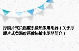 厚膜片式负温度系数热敏电阻器（关于厚膜片式负温度系数热敏电阻器简介）