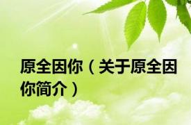 原全因你（关于原全因你简介）