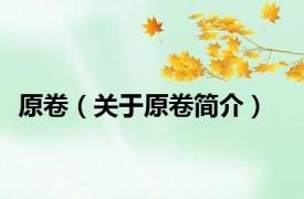 原卷（关于原卷简介）