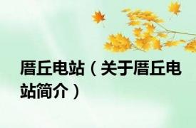 厝丘电站（关于厝丘电站简介）