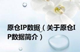 原仓IP数据（关于原仓IP数据简介）
