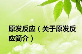 原发反应（关于原发反应简介）