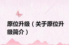 原位升级（关于原位升级简介）