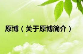 原博（关于原博简介）