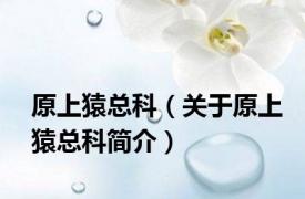原上猿总科（关于原上猿总科简介）