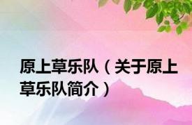 原上草乐队（关于原上草乐队简介）