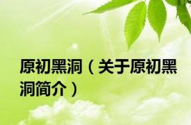 原初黑洞（关于原初黑洞简介）