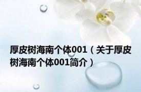 厚皮树海南个体001（关于厚皮树海南个体001简介）