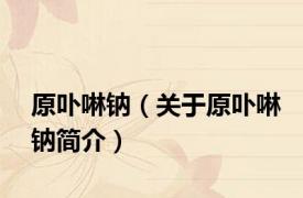 原卟啉钠（关于原卟啉钠简介）