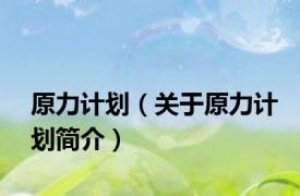 原力计划（关于原力计划简介）