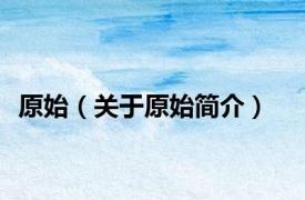 原始（关于原始简介）