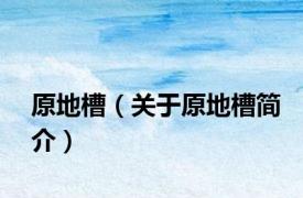 原地槽（关于原地槽简介）