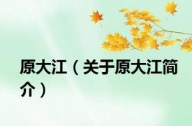 原大江（关于原大江简介）