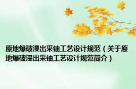 原地爆破浸出采铀工艺设计规范（关于原地爆破浸出采铀工艺设计规范简介）
