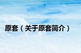 原套（关于原套简介）