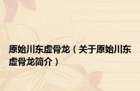 原始川东虚骨龙（关于原始川东虚骨龙简介）