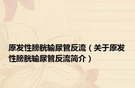 原发性膀胱输尿管反流（关于原发性膀胱输尿管反流简介）