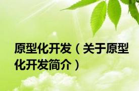 原型化开发（关于原型化开发简介）