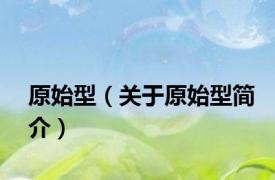 原始型（关于原始型简介）