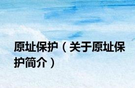 原址保护（关于原址保护简介）