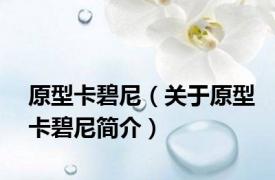 原型卡碧尼（关于原型卡碧尼简介）