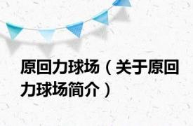 原回力球场（关于原回力球场简介）