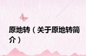 原地转（关于原地转简介）