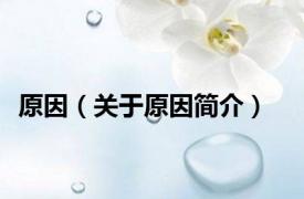 原因（关于原因简介）
