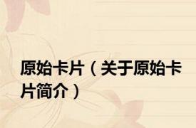 原始卡片（关于原始卡片简介）