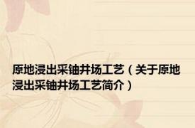 原地浸出采铀井场工艺（关于原地浸出采铀井场工艺简介）