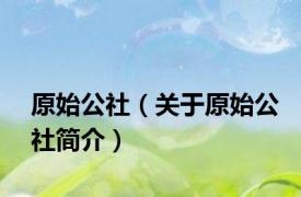 原始公社（关于原始公社简介）