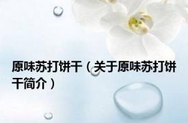 原味苏打饼干（关于原味苏打饼干简介）