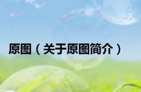 原图（关于原图简介）