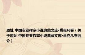 原址 中国专业作家小说典藏文库·肖克凡卷（关于原址 中国专业作家小说典藏文库·肖克凡卷简介）