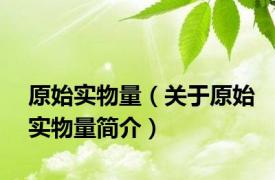 原始实物量（关于原始实物量简介）