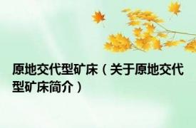 原地交代型矿床（关于原地交代型矿床简介）