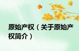 原始产权（关于原始产权简介）