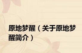 原地梦醒（关于原地梦醒简介）