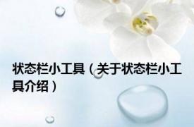 状态栏小工具（关于状态栏小工具介绍）