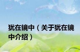 犹在镜中（关于犹在镜中介绍）