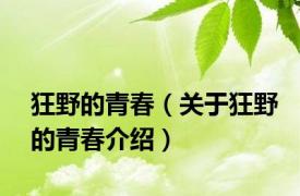 狂野的青春（关于狂野的青春介绍）
