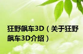 狂野飙车3D（关于狂野飙车3D介绍）