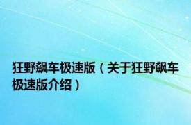 狂野飙车极速版（关于狂野飙车极速版介绍）