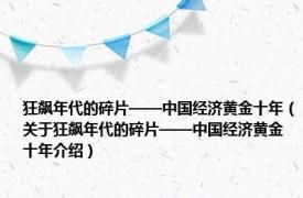 狂飙年代的碎片——中国经济黄金十年（关于狂飙年代的碎片——中国经济黄金十年介绍）