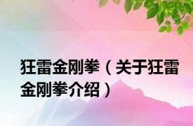 狂雷金刚拳（关于狂雷金刚拳介绍）