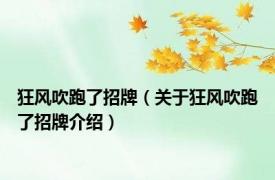 狂风吹跑了招牌（关于狂风吹跑了招牌介绍）