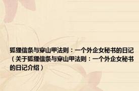 狐狸信条与穿山甲法则：一个外企女秘书的日记（关于狐狸信条与穿山甲法则：一个外企女秘书的日记介绍）