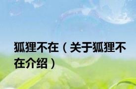 狐狸不在（关于狐狸不在介绍）