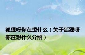 狐狸呀你在想什么（关于狐狸呀你在想什么介绍）