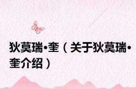 狄莫瑞·奎（关于狄莫瑞·奎介绍）